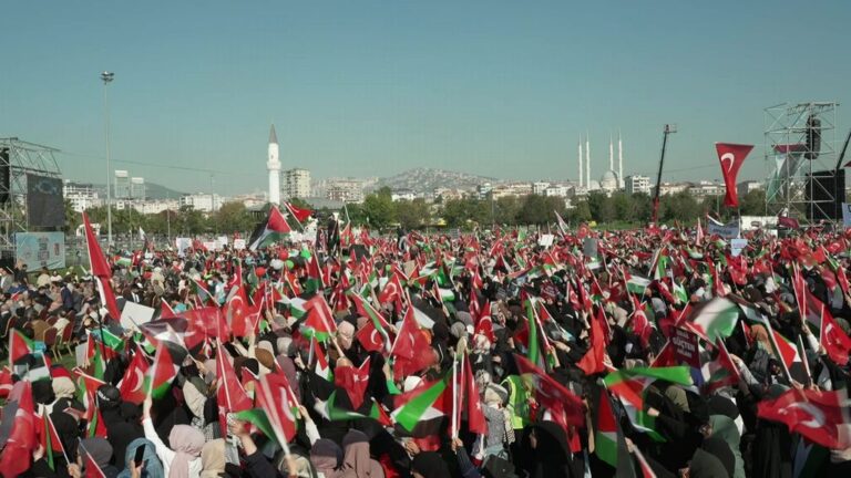 Folla in manifestazione con bandiere palestinesi e cartelli, simbolo di protesta politica e sostegno alla causa palestinese